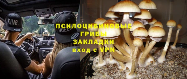 PSILOCYBIN Богородицк