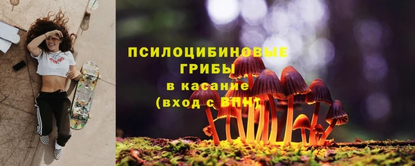 PSILOCYBIN Богородицк